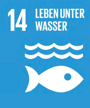 Ziel 14 - Leben unter Wasser