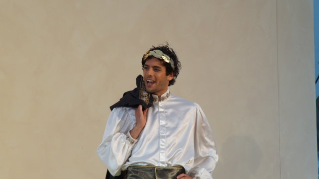 Der Froschkönig