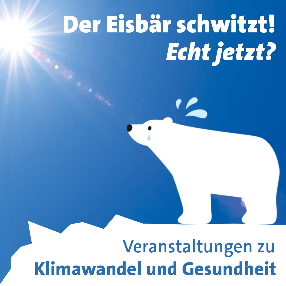 Eisbär Post Insta