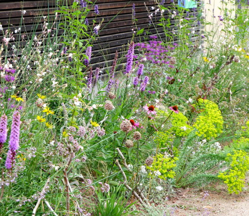 Naturnaher Garten