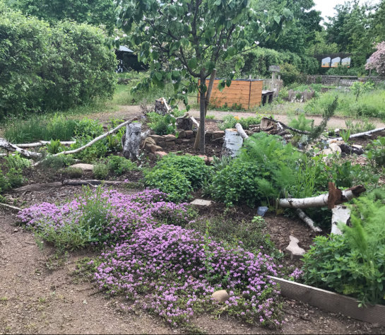 Naturnaher Garten