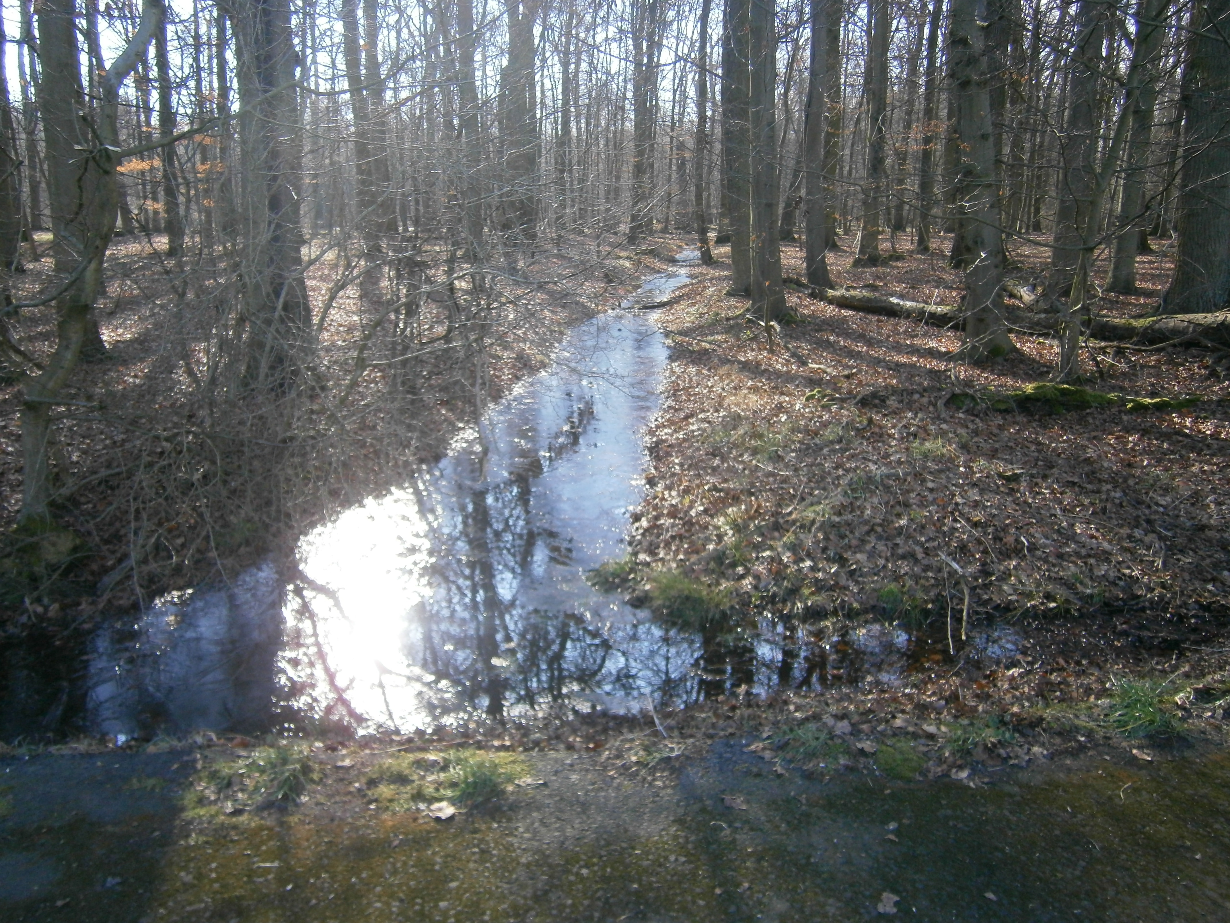 Umweltzentrum