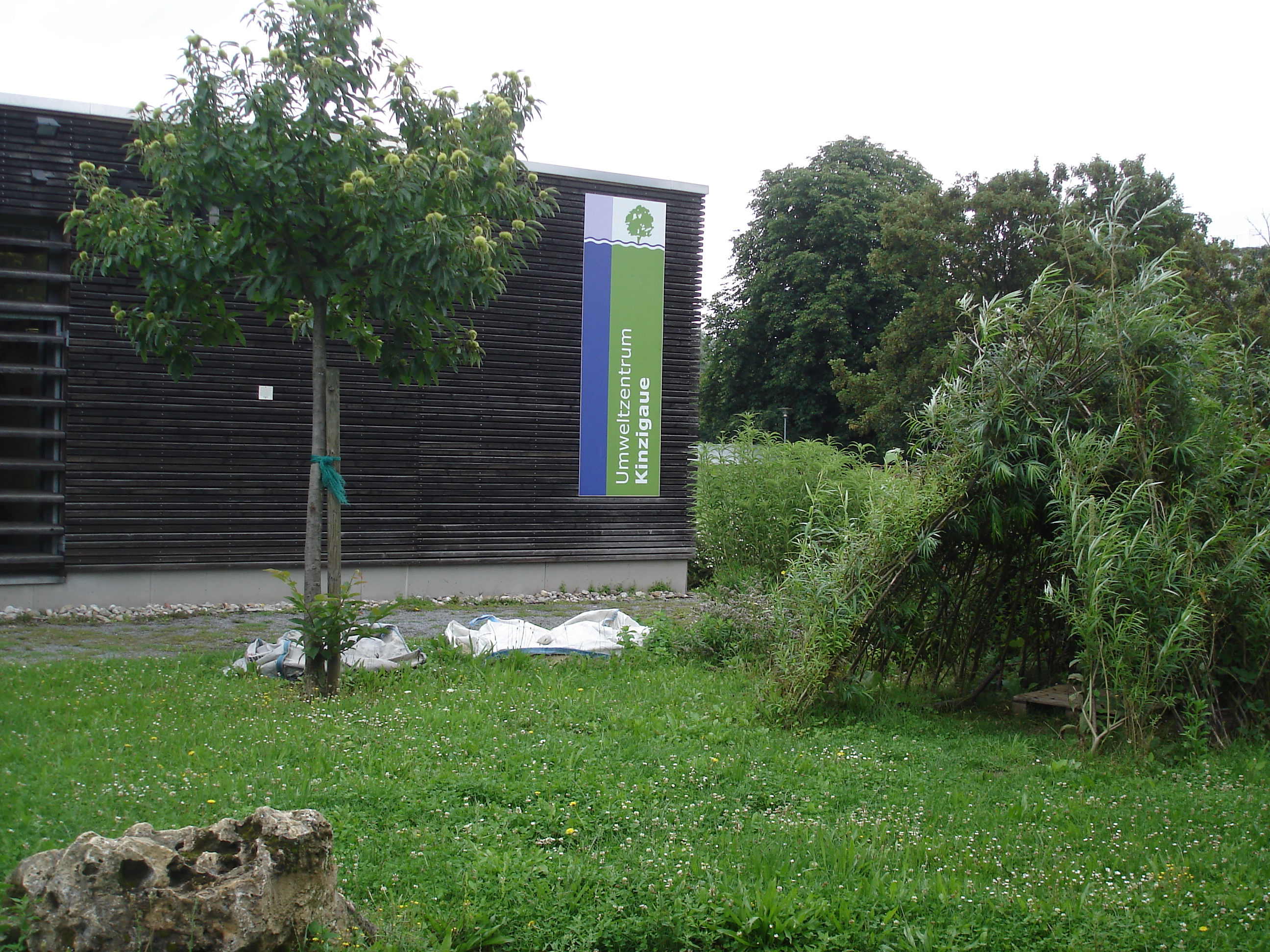Kindergeburtstage Im Umweltzentrum