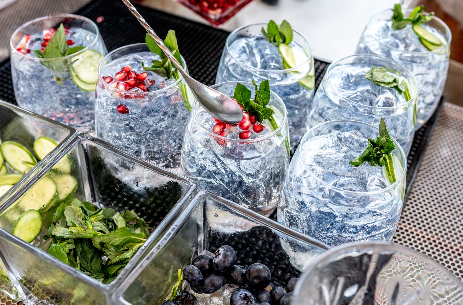 Gin-tasting Mit Klara Adobestock 415116571 Klein