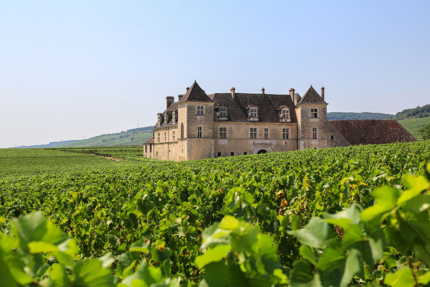 Jakobusweg - Burgund 2 Adobestock 245990463 Klein