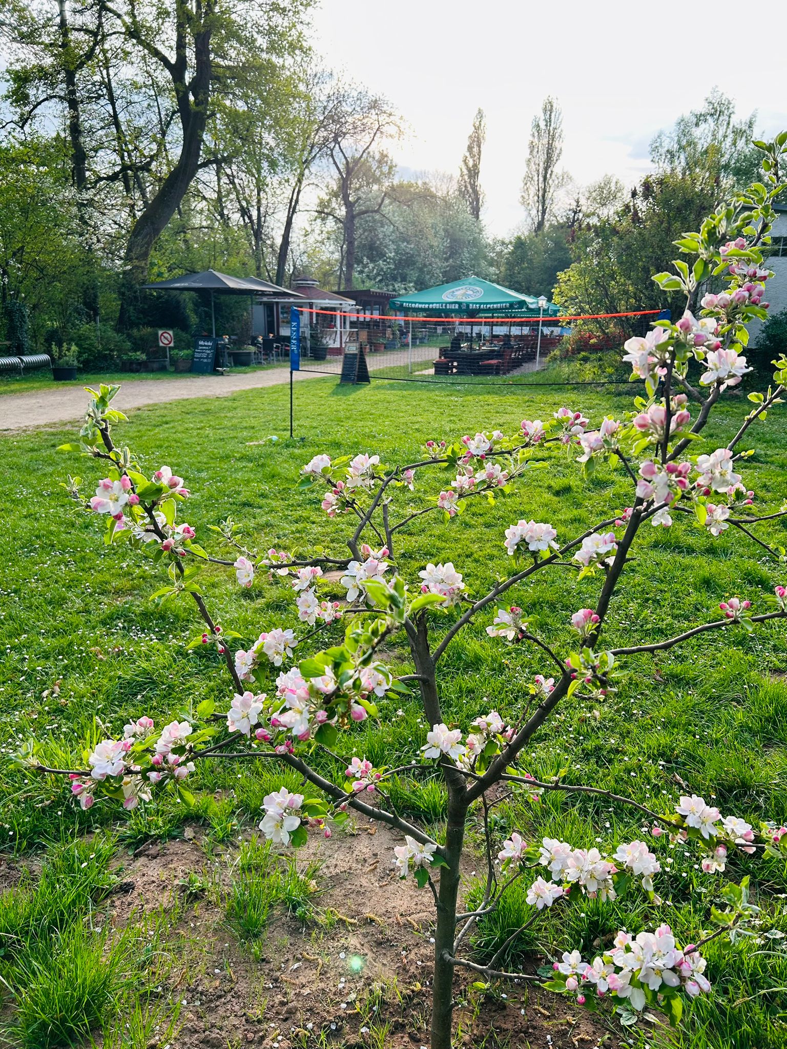Licht-und-luftbad Hanau 01.05.2026