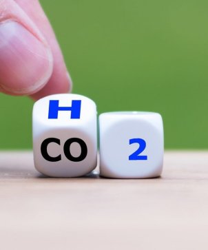 H20