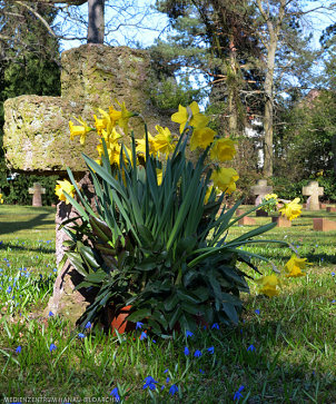 Ehrenfeld auf dem Hauptfriedhof