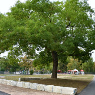 Bürgerpark Südost Freigerichtviertel