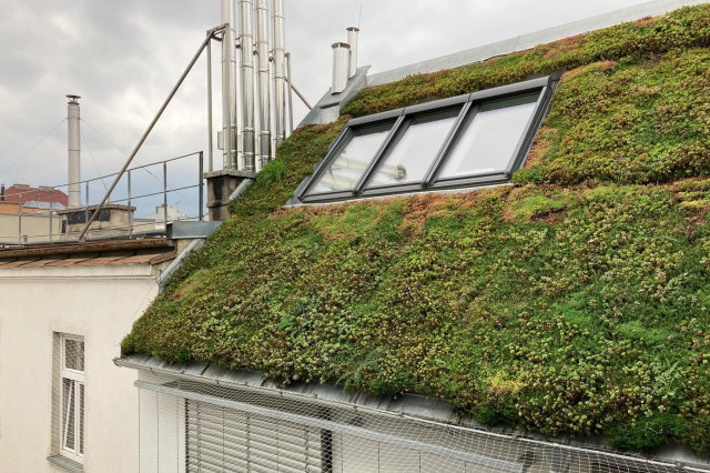 Klimaanpassung-dachbegruenung-schraegdach- C Gruenstattgrau