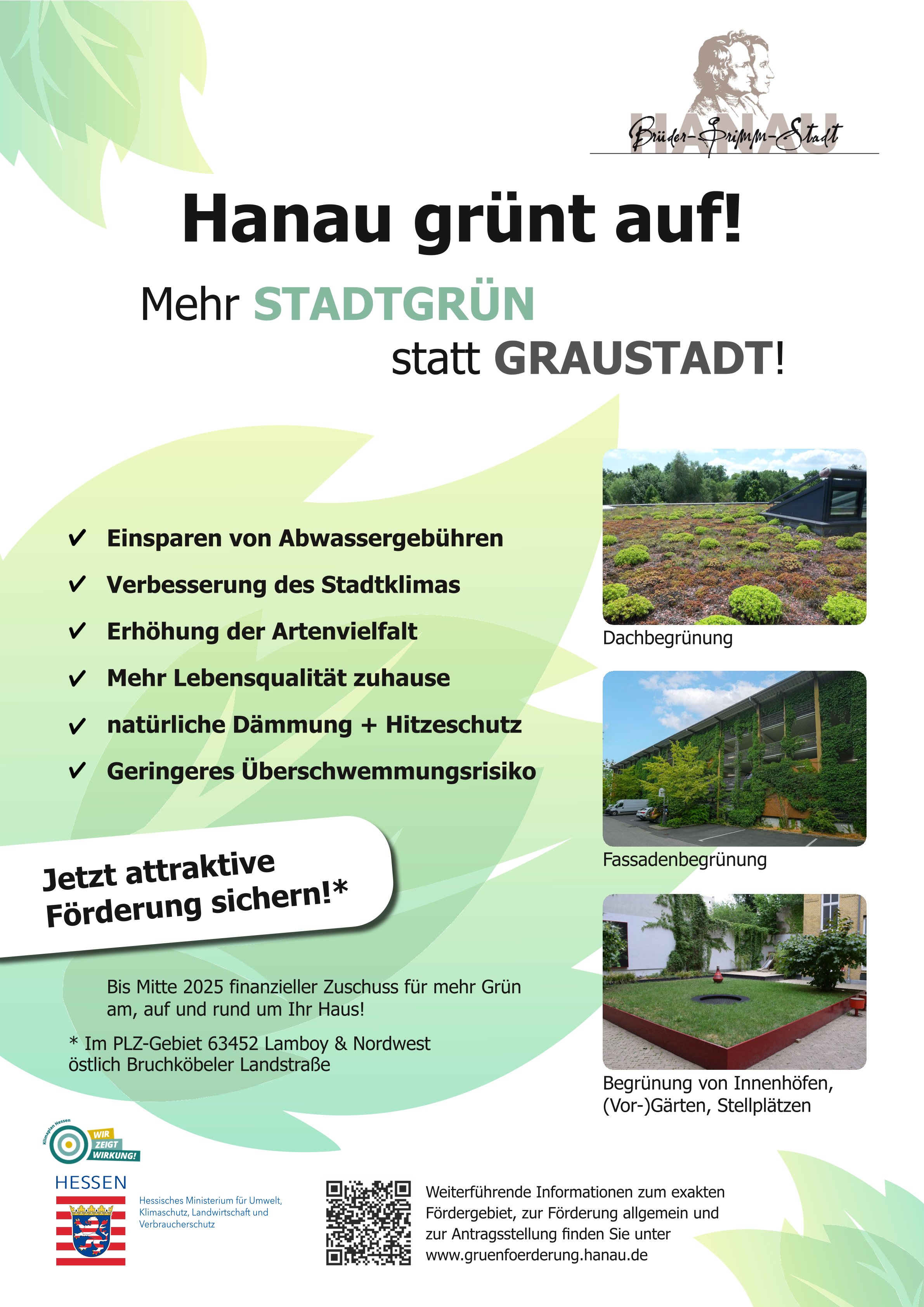 Poster_final_Hanaugrüntauf 