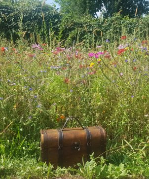 Schatzkiste vor Blumenwiese