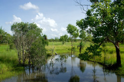 Campo Pond