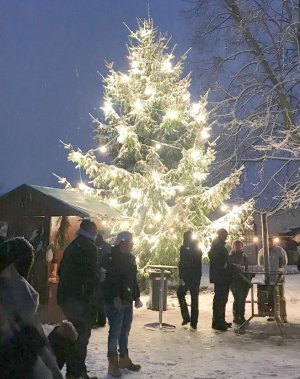 Hasenweihnachtsmarkt