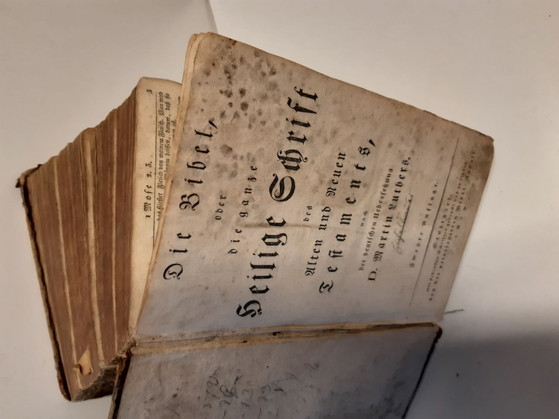 2023-02 Odm Gra Bibel Kl