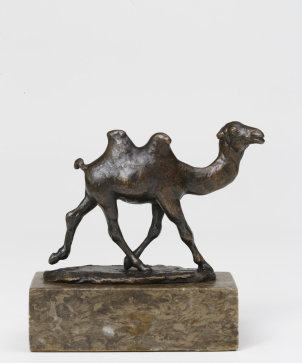 Hmh Kuepper Agaul _kleiner Tierpark Kamel Dettmar