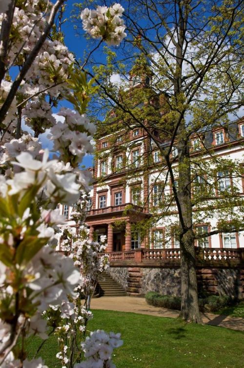 Schlossparkphilippsruhe16 Heidrun Merk Frühling Klein