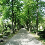 Hauptfriedhof, Allee