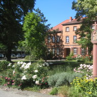Schule am Brunnen, Großauheim