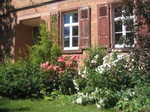 Schule am Brunnen, Großauheim