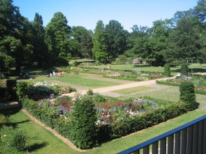 Blick in den Schlossgarten