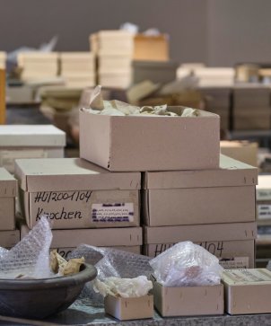 Archäologisches Schaudepot Museum Steinheim