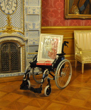 Schloss Philippsruhe Rollstuhl