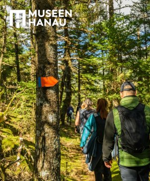 Ein sonniger Tag im Wald. Eine Gruppe von Menschen mit Rucksack und Treckingkleidung von hinten entlang eines schmalen Wanderweges.