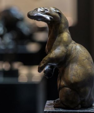 Gaul Otter_klein