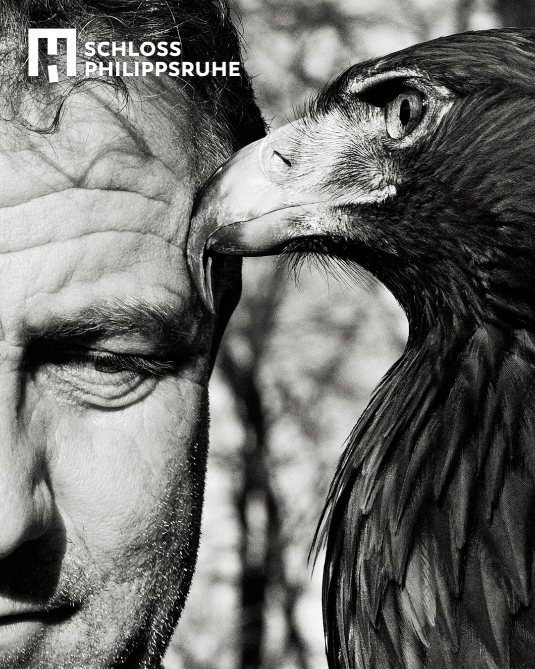 Hmh 2026 Ruthmarcus Der Falkner