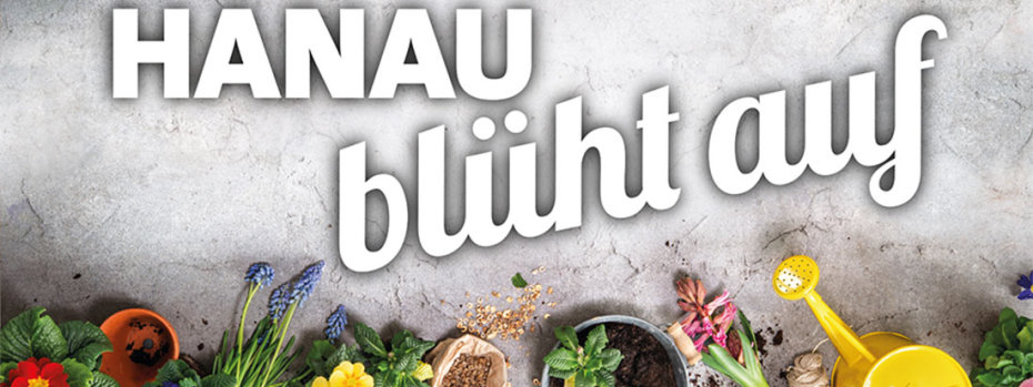 Hmg Hanau-macht-lust Hanau blüht auf
