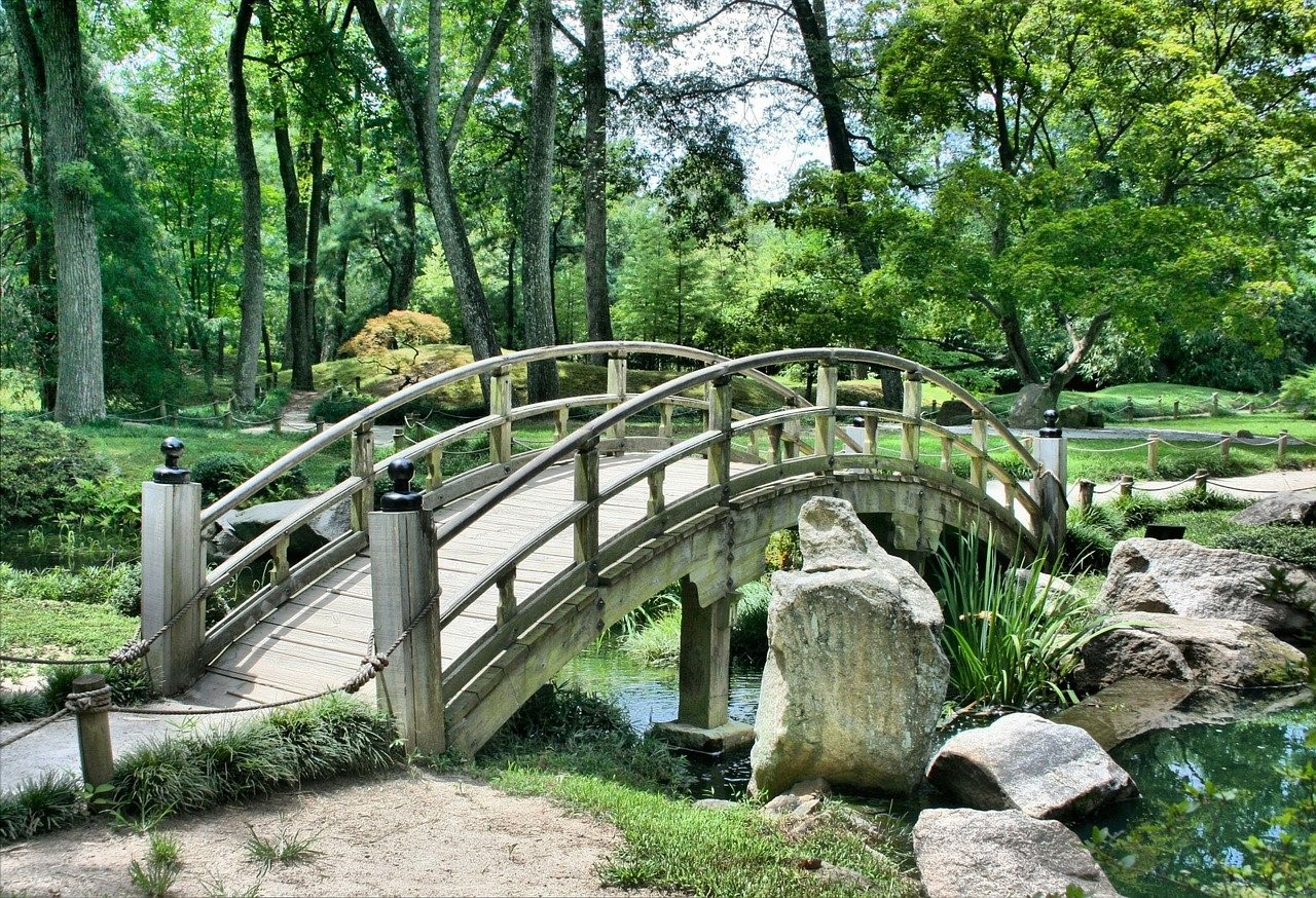 Seniorenbuero Achtsamkeit Im Park