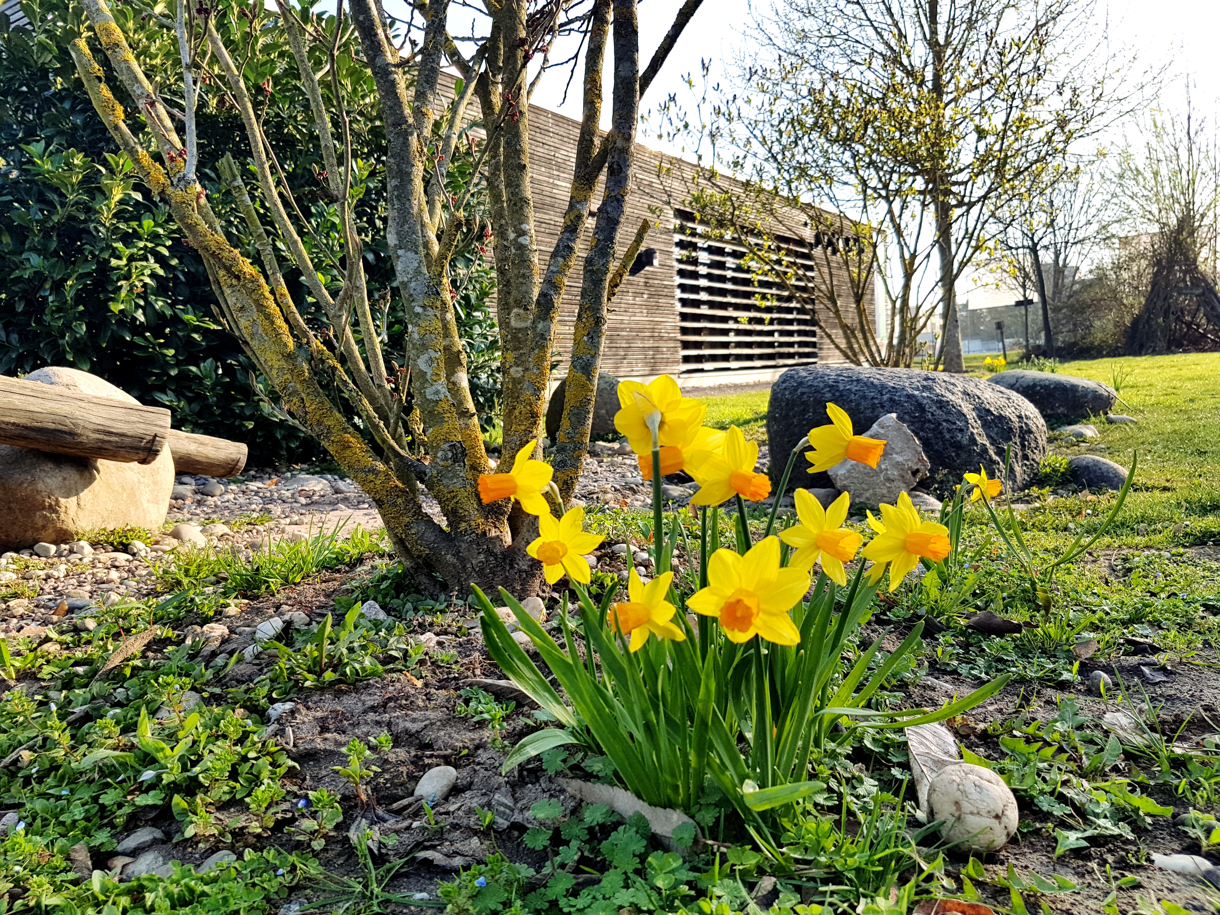 Ausblick Garten auf Haus im Frühling