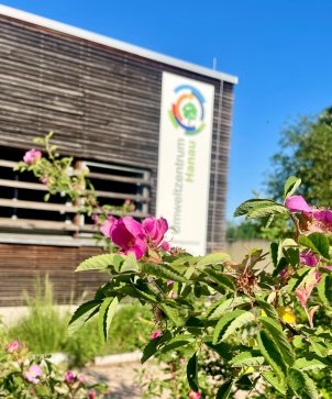 Hausansicht mit Rose