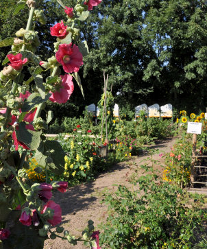 Uwz Gartenansicht Sommer