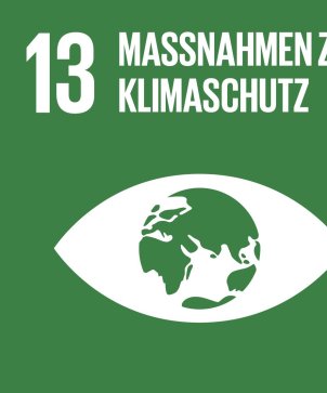 Logo Sdg 13