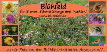 Blühfeld