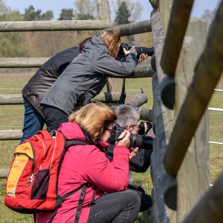 Fotoworkshop