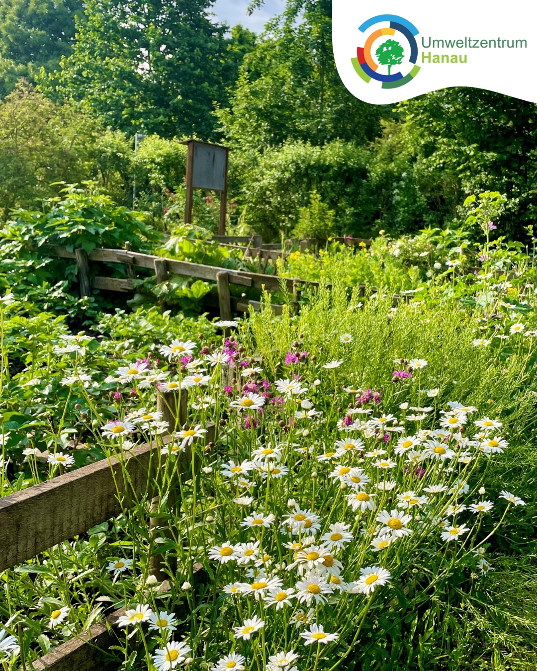 Ausblick in den Garten 