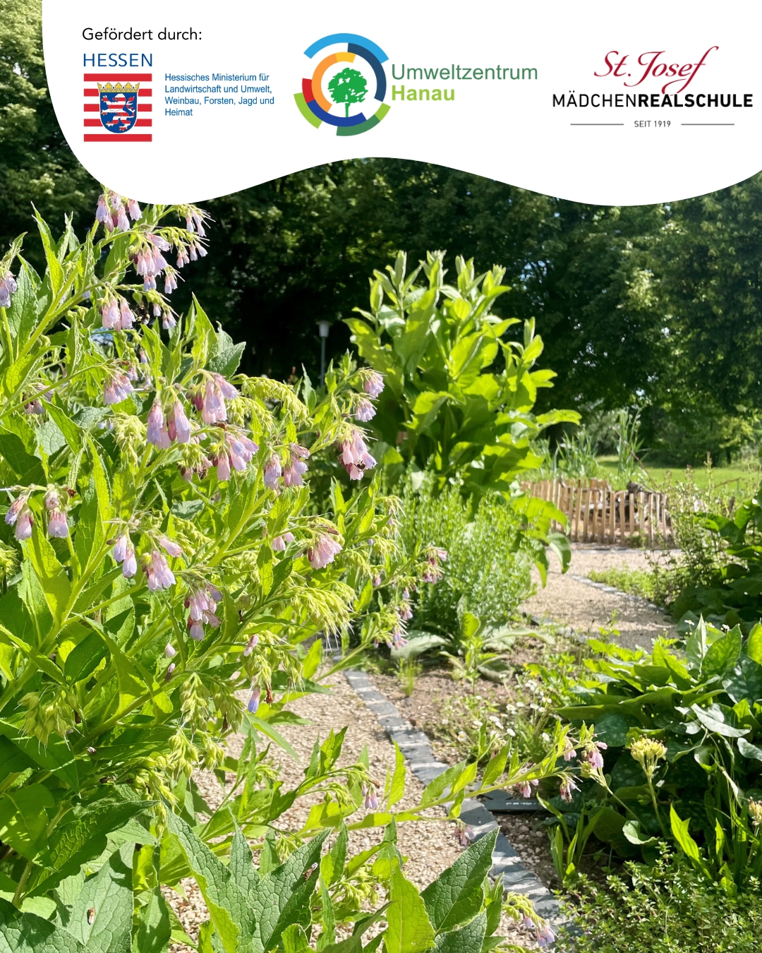 Hausapotheke Im Hildegärtchen Logo