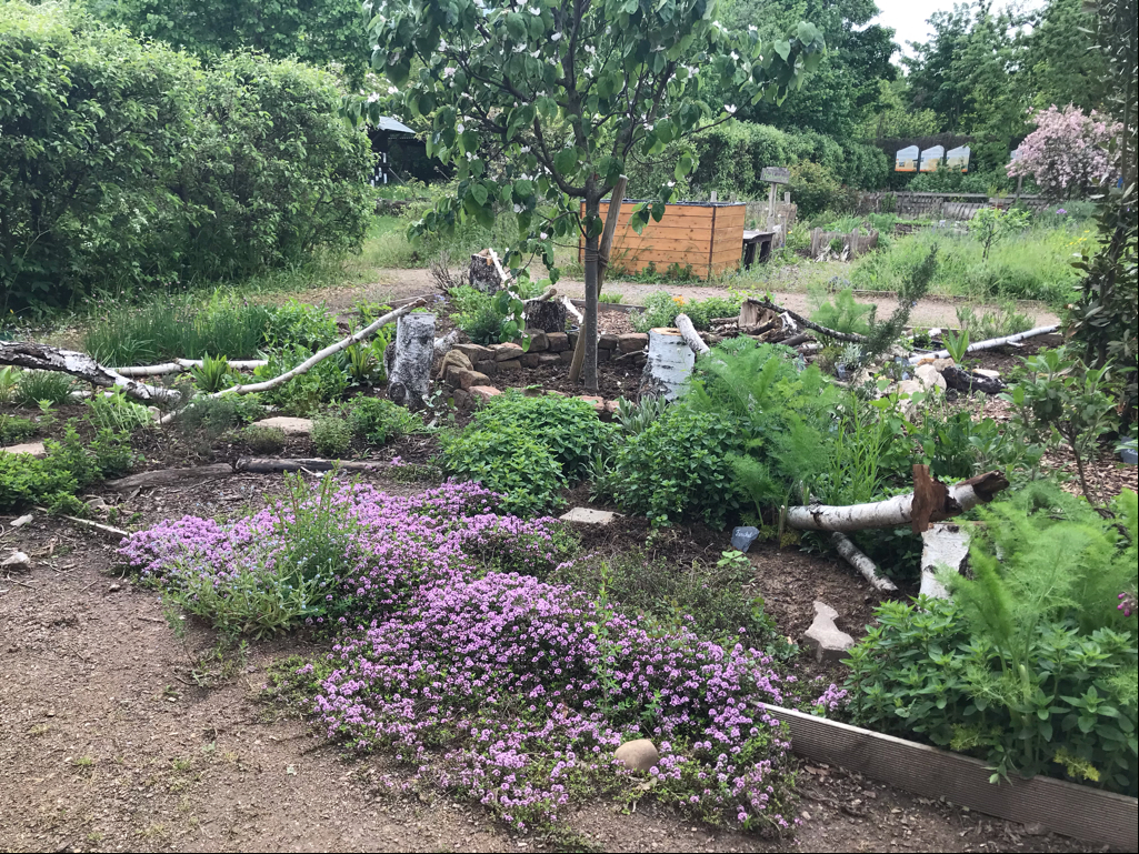 48+ Garten Hanau Kaufen Pachten, Finden sie bei immoscout24