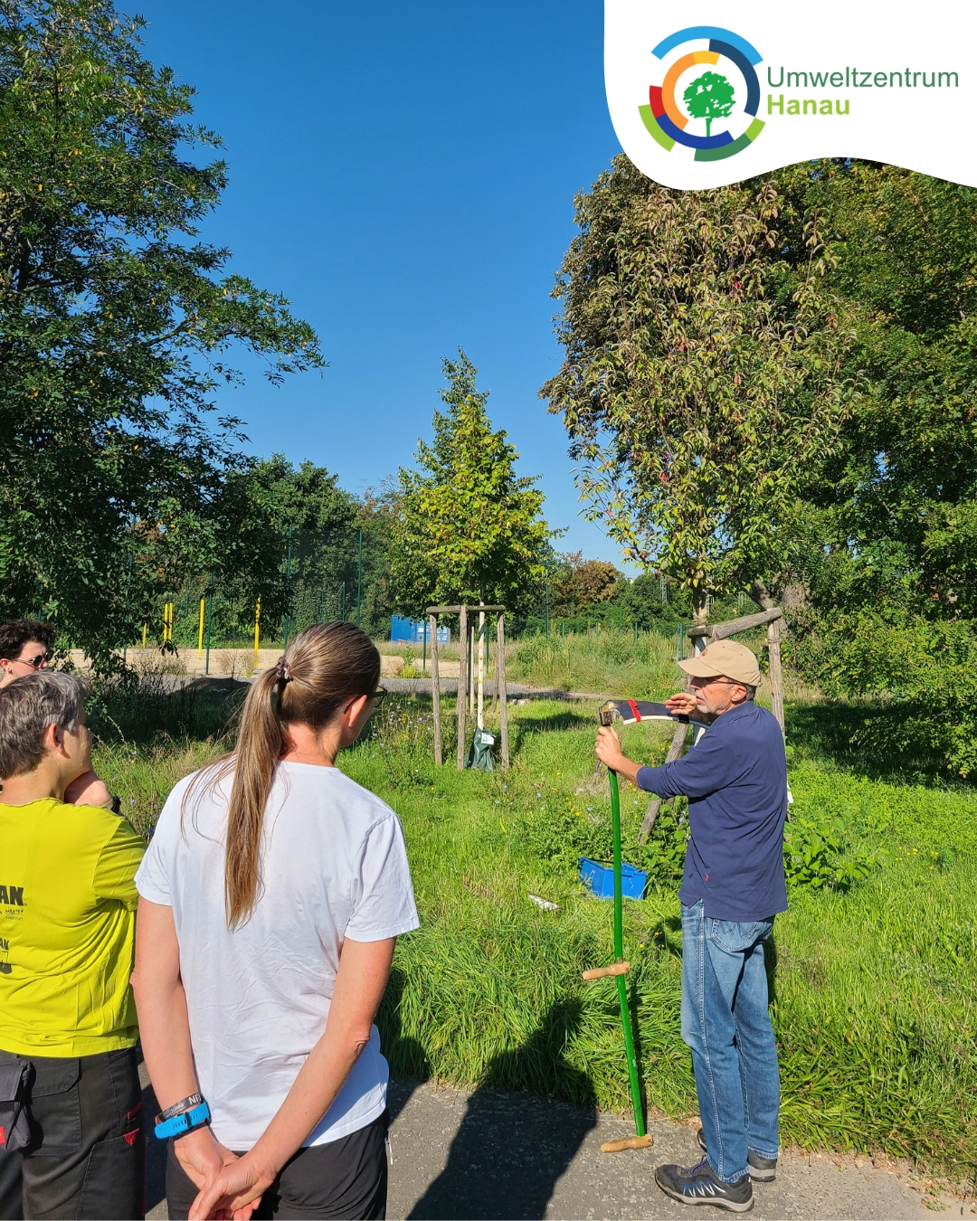 Mähen Mit Der Sense