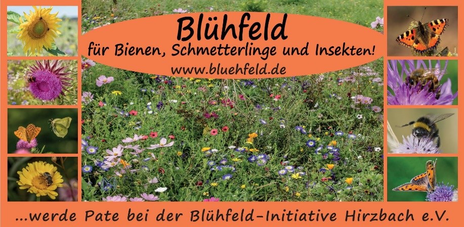 Blühfeld_Bild