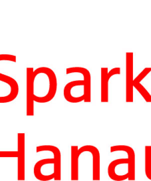 Sparkasse Logo