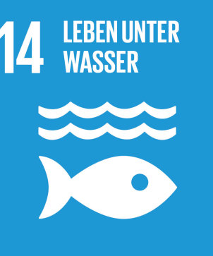 Sdg-icon-de-14