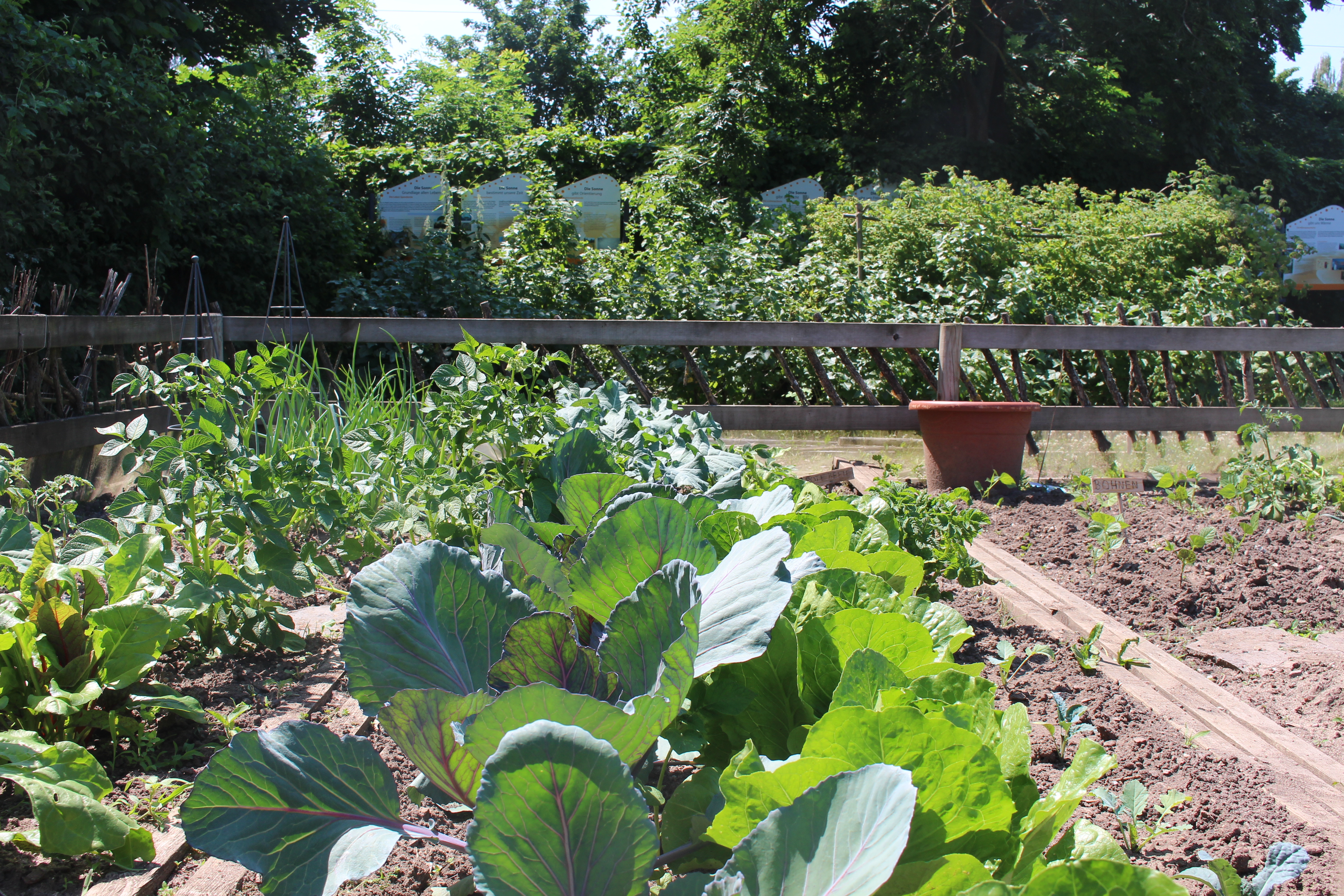 Garten Boden