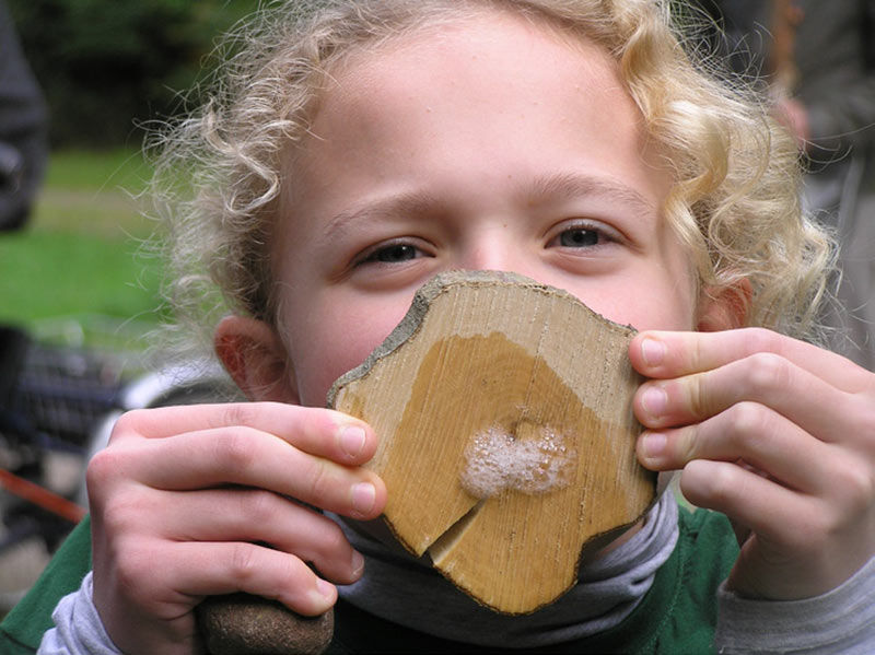 Wildpark Feriencamp