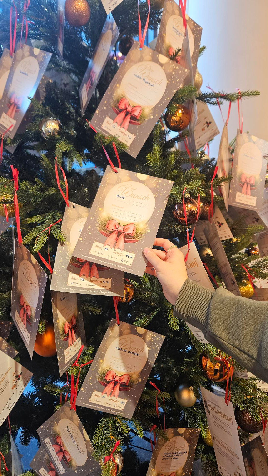 Stadthof Charitybaum