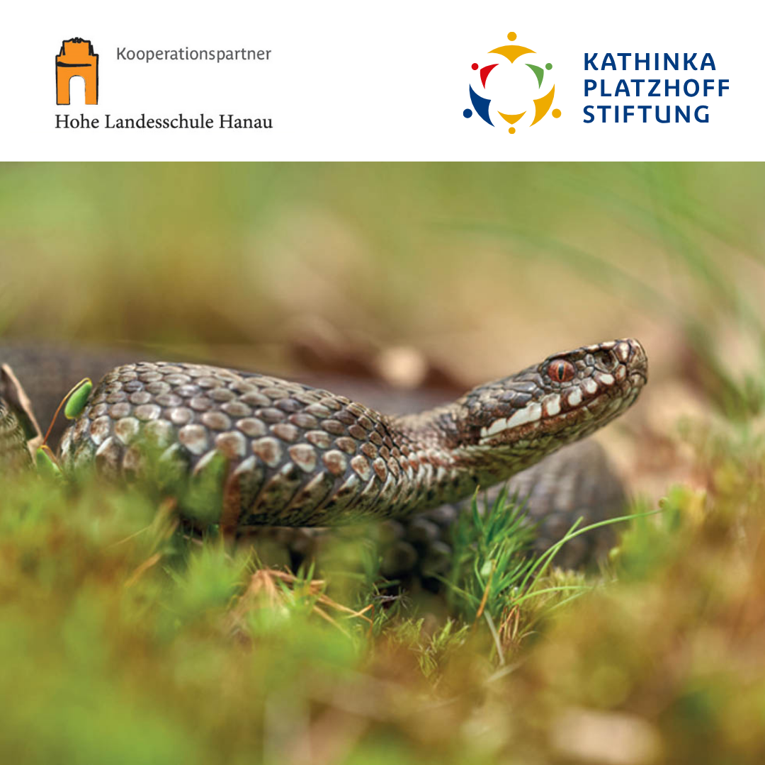 Kinderuni Tiergifte Aus Aller Welt