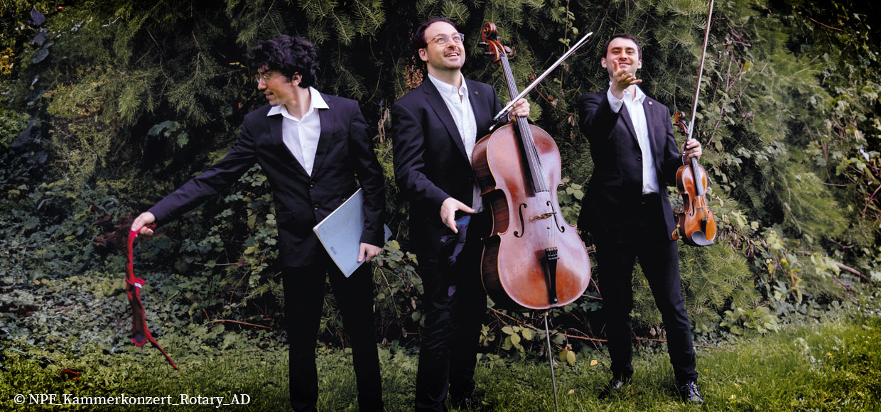 Musiktrio Trio Delyria